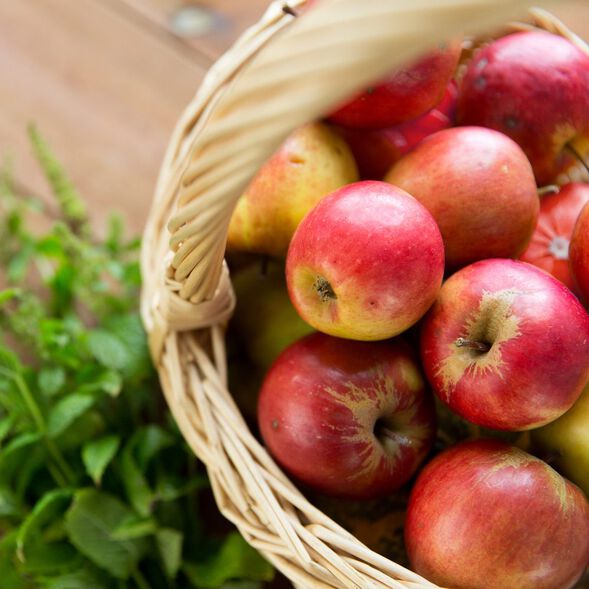 Apple Sage BB fragrance oil