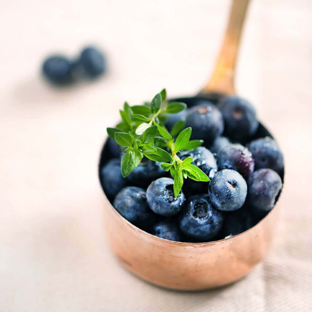 Blueberry Thyme fragrance oil EH