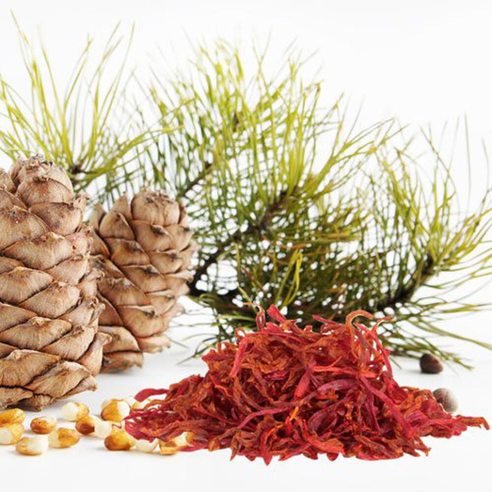 Cedar & Saffron fragrance oil EH