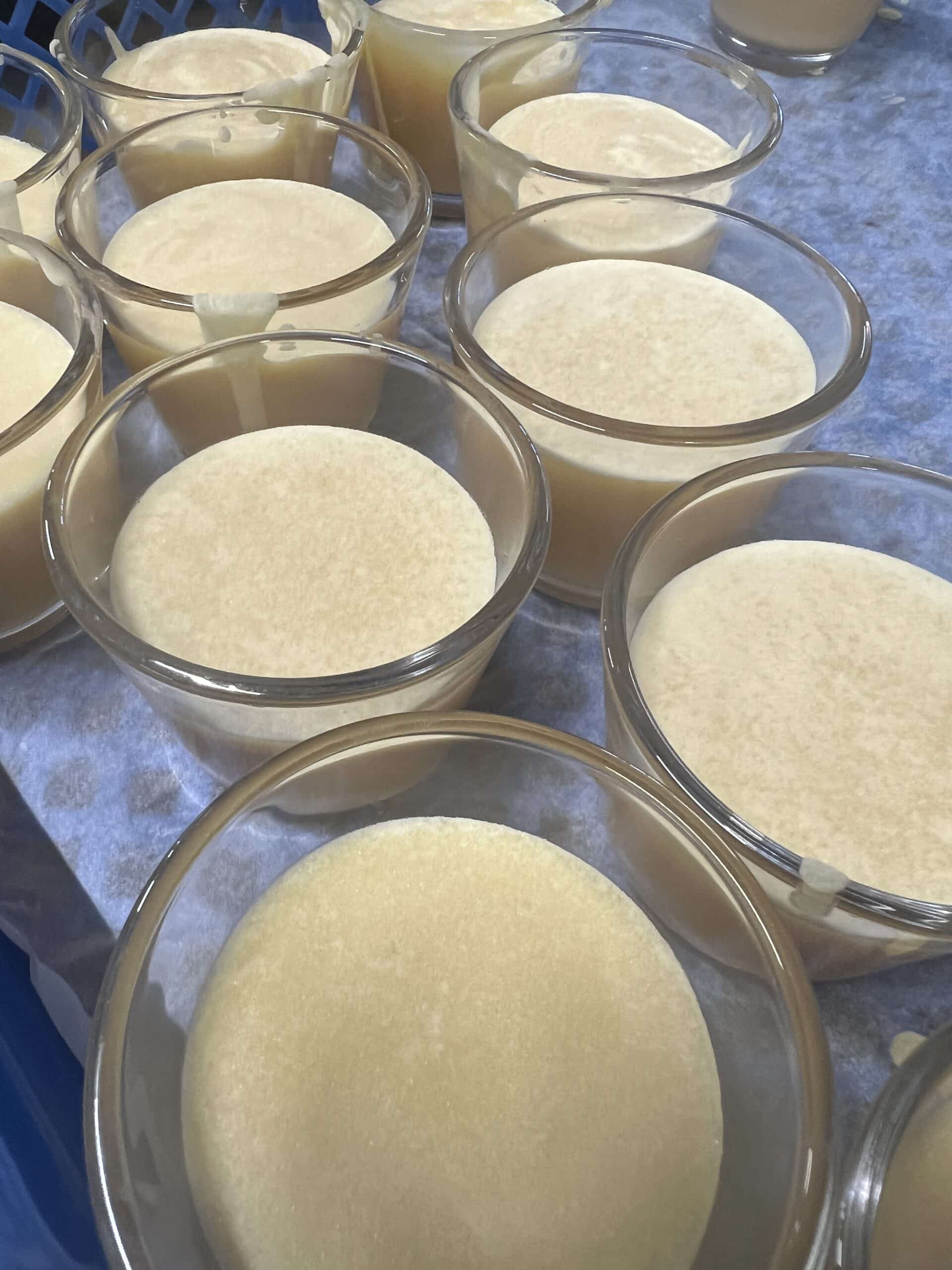 Rasierseife Mango reduziert : Fehlfarbe