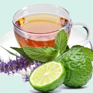 Bergamot & Tarragon Leaves fragrance oil EH