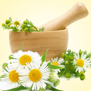 Chamomille EH fragrance oil