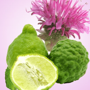 Gingered Bergamot NG questionance oil