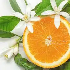 Italian Neroli -Tom Ford- EH fragrance oil