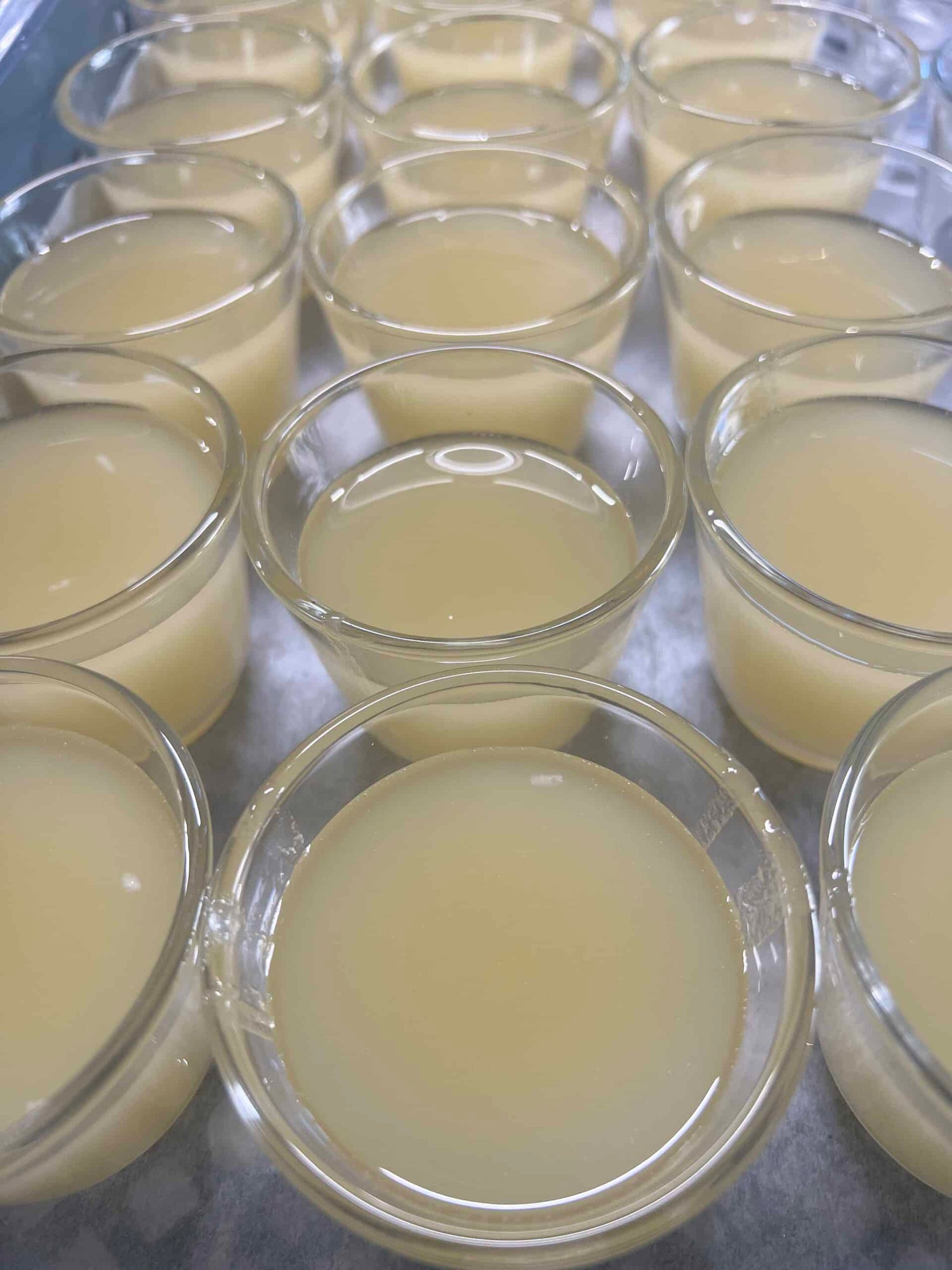 Shaving soap sensitive without perfume