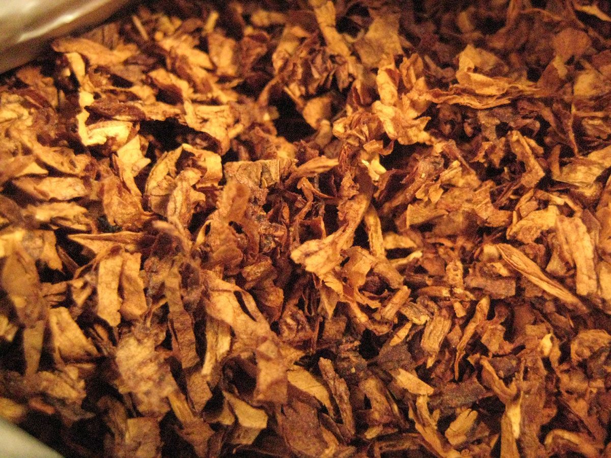 Tobacco EH fragrance oil