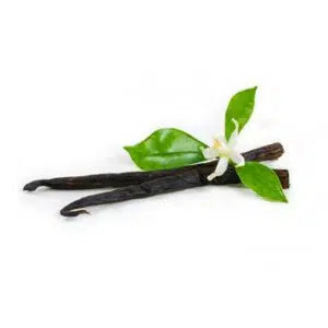 Vanilla White fragrance oil EH