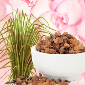 Vetiver NG fragrance oil