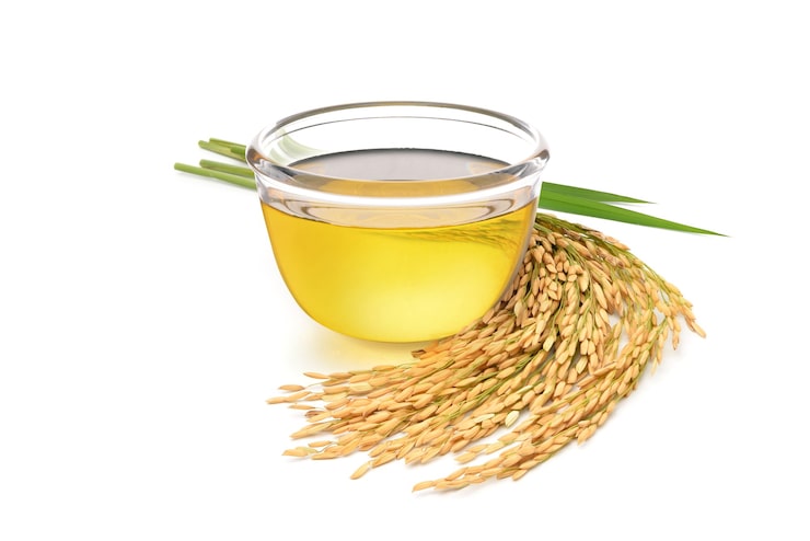 Rice germ oil