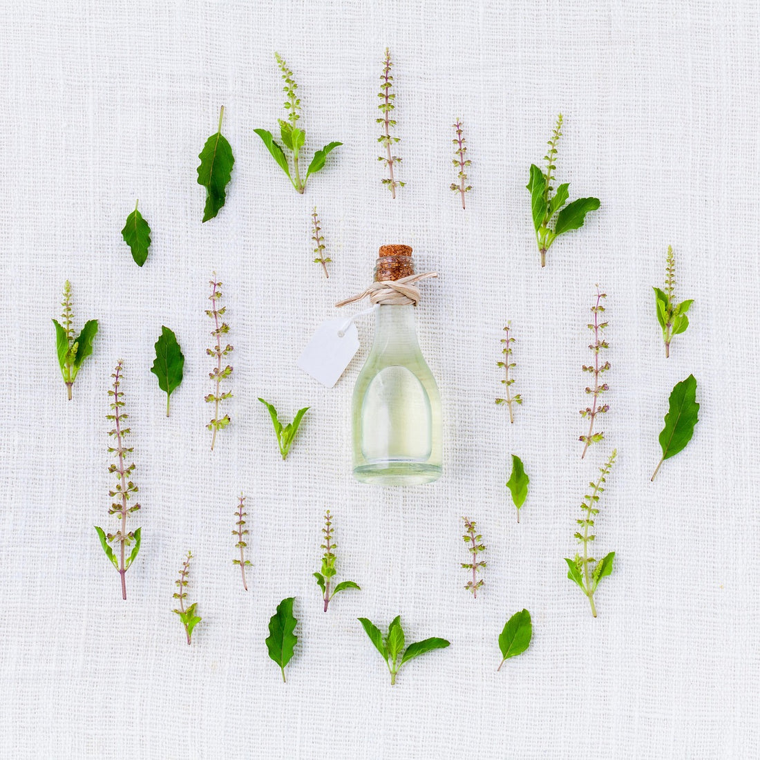 Herbal Extasy fragrance oil EH