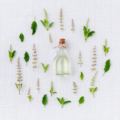 Herbal Extasy fragrance oil EH