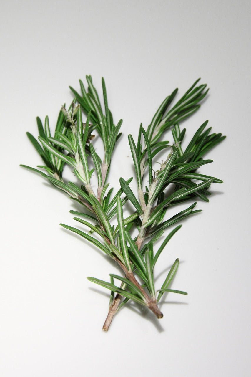 4 herbs set ground - 100g