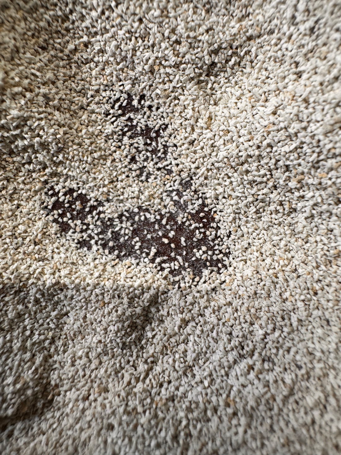 Pumice powder medium fine