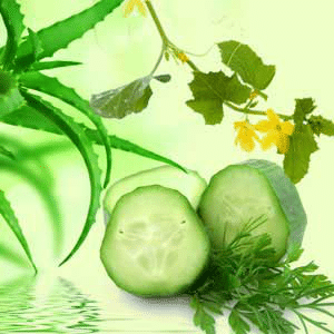 Aloe Vera & Cucumber fragrance oil EH
