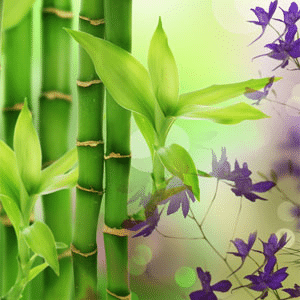Australian Bamboo Grass fragrance oil EH