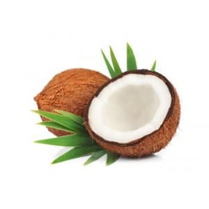 Creamy Coconut NG fragrance oil