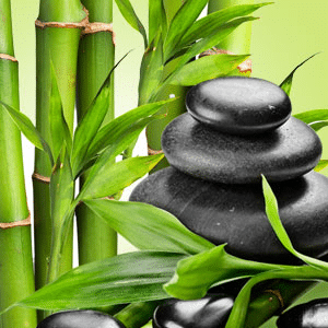 Bamboo Hemp NG fragrance oil