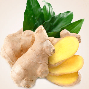 Fresh Ginger NG fragrance oil