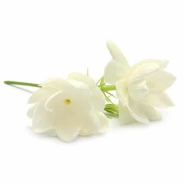 Jasmine fragrance oil EH