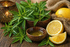 Frisches Duftbild mit Zitronen, Zitronenverbene und natürlicher Kräuterfrische auf rustikalem Hintergrund für Lemon Verbena Fragrance Oil