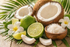 Frisches tropisches Duftbild mit Limetten, Kokosnuss und weißen Blüten auf natürlichem Hintergrund für Lime & Coconut Fragrance Oil