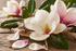 Elegantes Duftbild mit weißen und roséfarbenen Magnolienblüten auf natürlichem Hintergrund für Magnolia Fragrance Oil