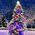 Christmas Forest Parfümöl mit Tannenzweigen und winterlicher Waldstimmung für Seife und Kosmetik