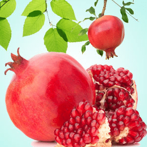 Pomegranate fragrance oil EH