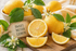 Frisches Duftbild mit Meyer-Zitronen, Zitronenscheiben, weißen Blüten und grünen Blättern auf natürlichem Hintergrund für Sweet Meyer Lemon Fragrance Oil